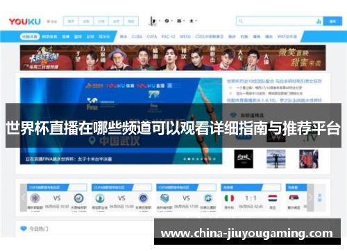 世界杯直播在哪些频道可以观看详细指南与推荐平台