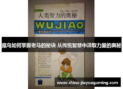 魔鸟如何掌握老马的秘诀 从传统智慧中汲取力量的奥秘