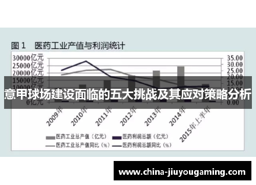 意甲球场建设面临的五大挑战及其应对策略分析